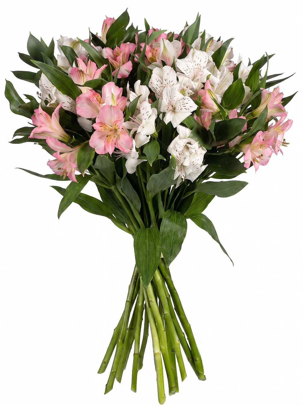 Bouquet of alstroemerias